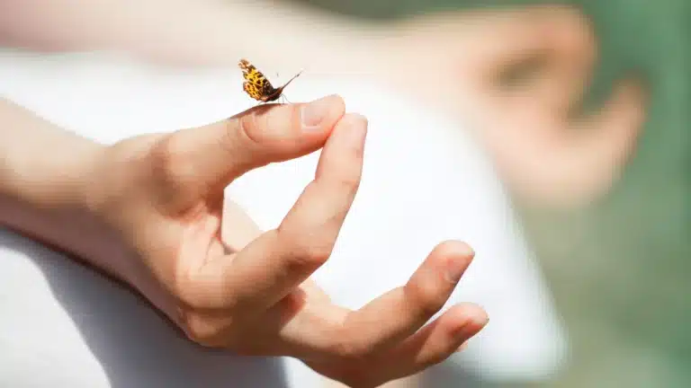 Is It Breathwork or What How Does Mushroom Meditation Work