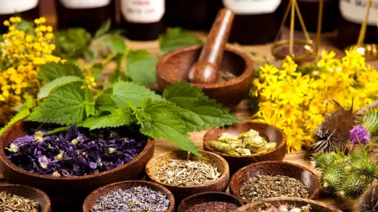 Collection of natural ingredients like herbs, vitamins, and essential oils for mental wellness.