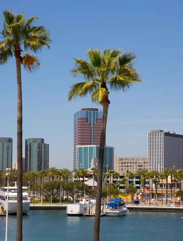 A peaceful view of Long Beach, California, featuring coastal cityscapes, palm trees, and calm ocean surroundings that reflect a relaxed Southern California atmosphere.