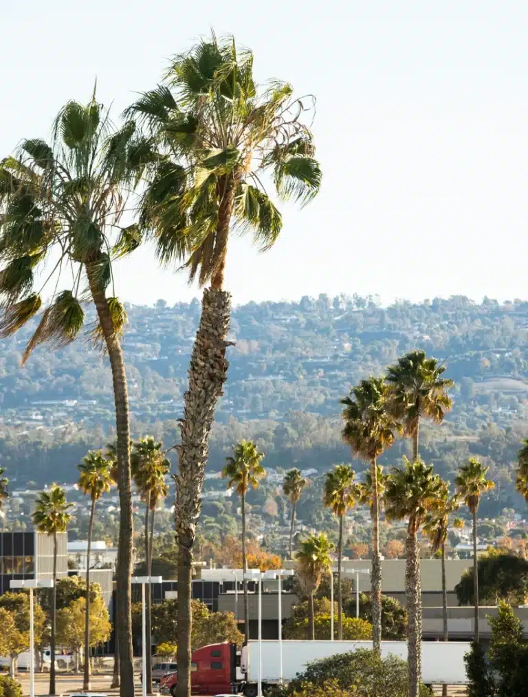 Aerial view of Torrance, California showing cityscape with residential areas, commercial districts, and palm-lined streets near the Pacific coastline.