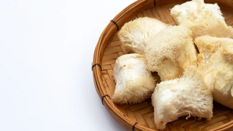 Top mushrooms known for enhancing brain function and overall cognitive health