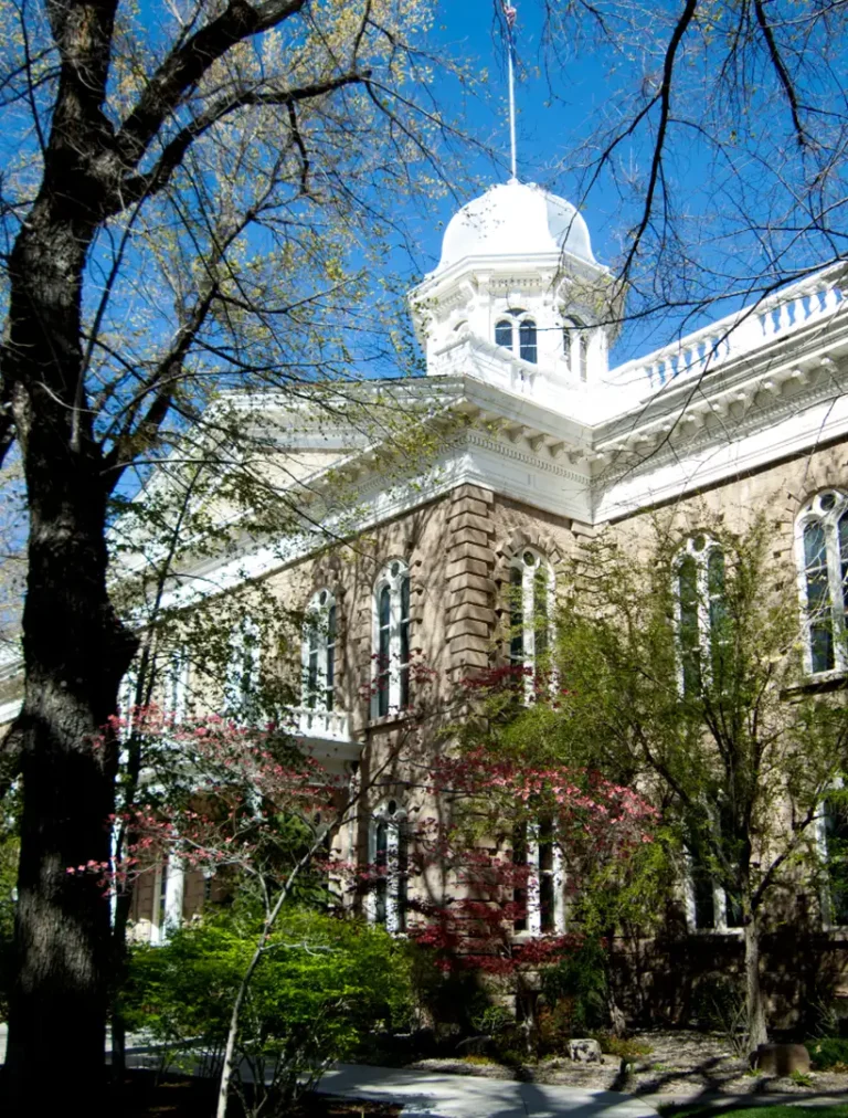 Carson guided psychedelic mushroom therapy for transforming stress into strength