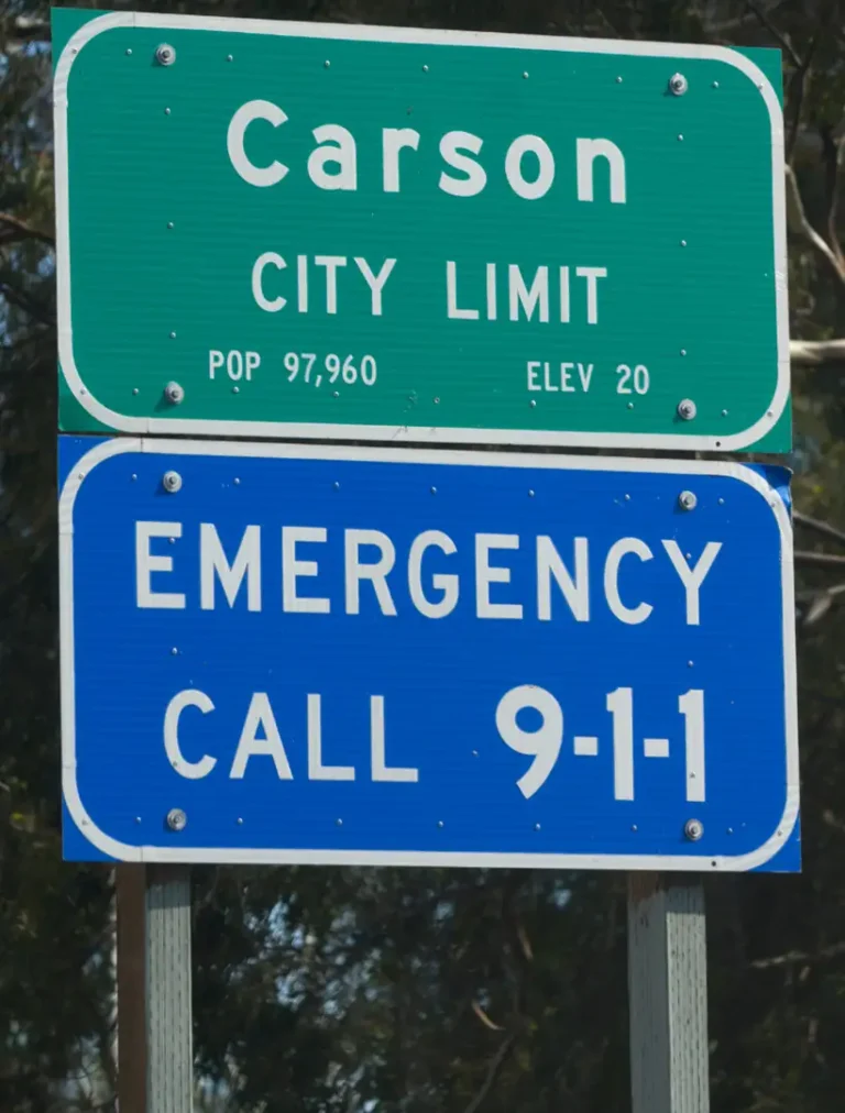 Carson holistic healing session using guided mushroom therapy