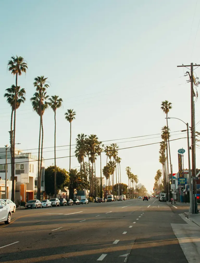 Client finding calm and clarity through mushroom-assisted therapy