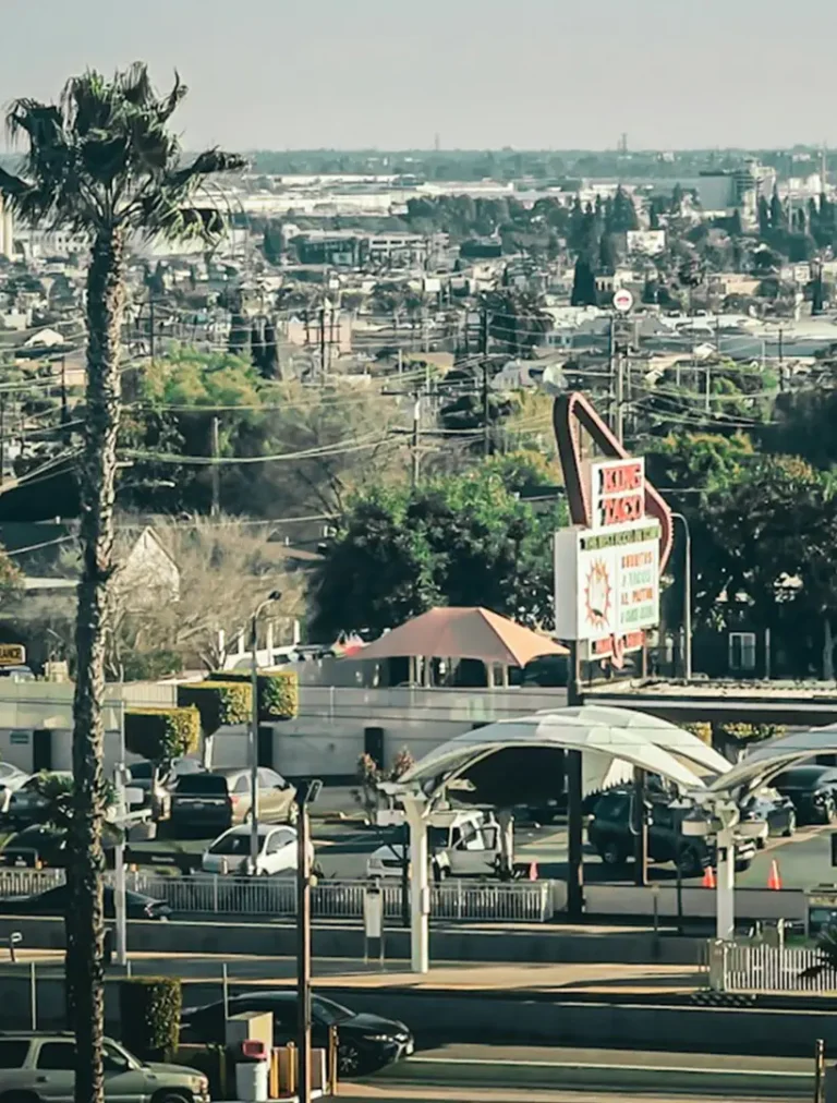 Guided mushroom therapy and holistic healing session in East Los Angeles.