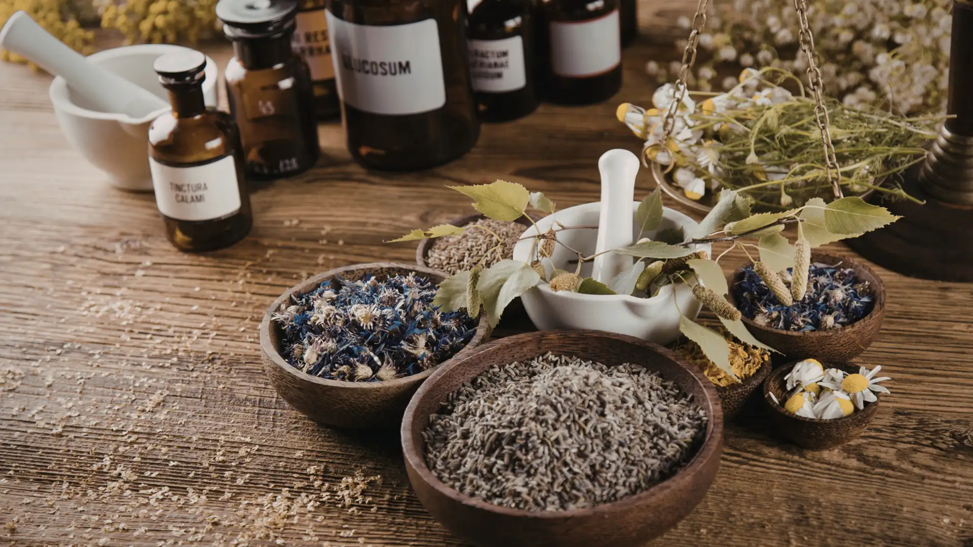 Natural mushroom extract liquid gold supplement