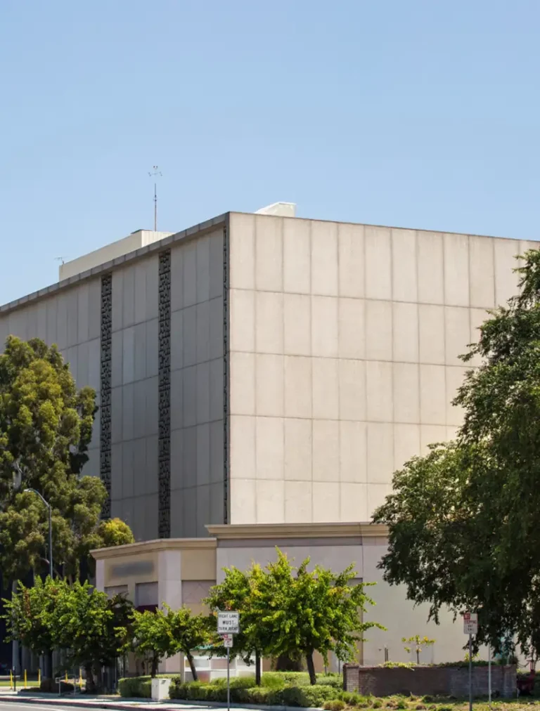 Therapeutic use of mushrooms to support relaxation, healing, and mental clarity near Norwalk