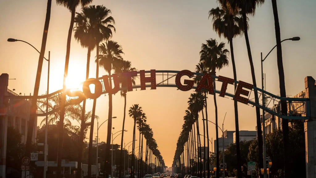 mushroom therapy in South Gate