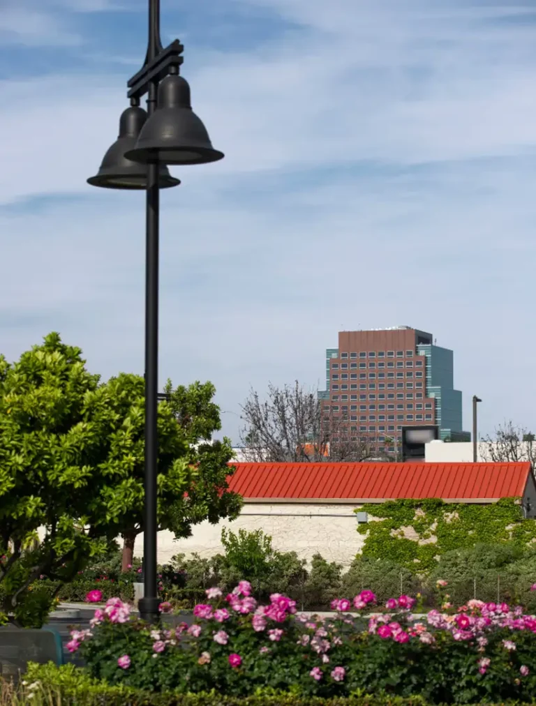 A trained therapist providing empathetic guidance to a client during a preparatory meeting for psychedelic mushroom therapy.