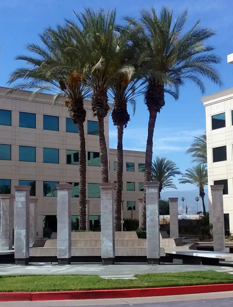 A peaceful therapy room with comfortable seating and soft lighting, designed for guided mushroom therapy sessions near West Covina.