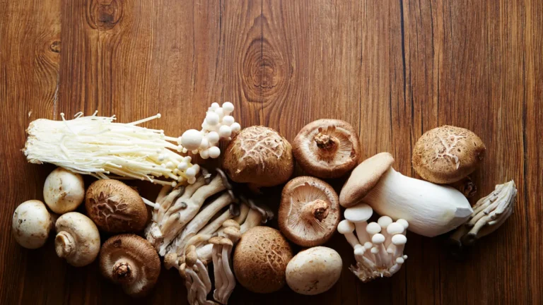 Assorted functional mushrooms prepared for stress-relief remedies.