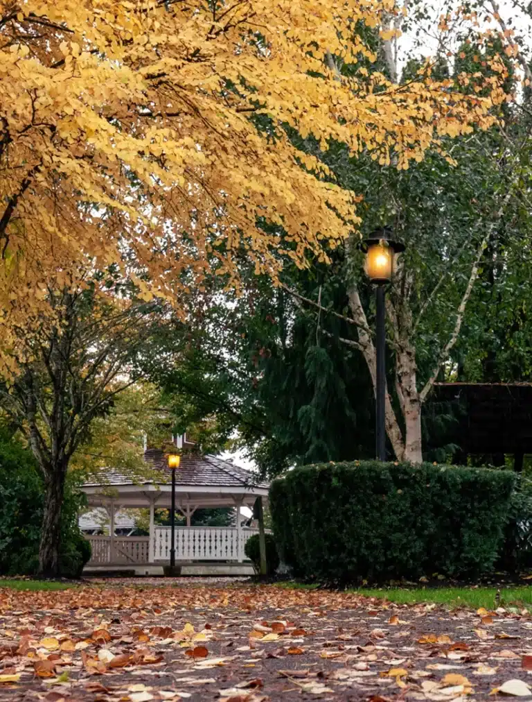 Healing and recovery support for anxiety and burnout in Bellflower