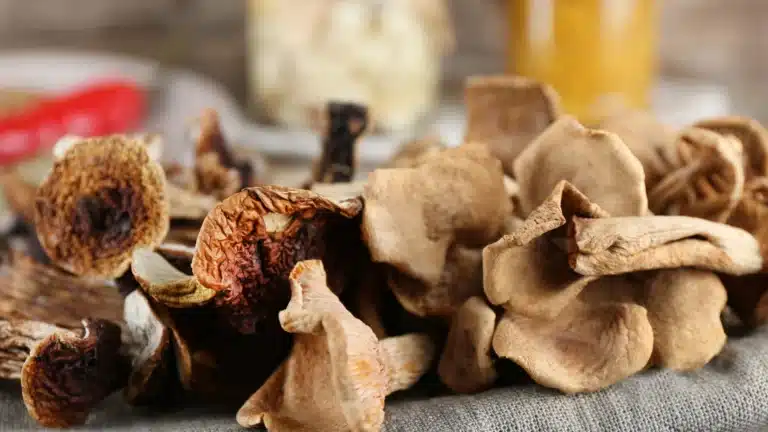 Do Dried Mushrooms Go Bad Here’s What You Need to Know