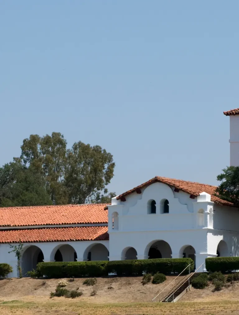 Mindful exploration of magic mushrooms near Hacienda Heights for alternative mental health.