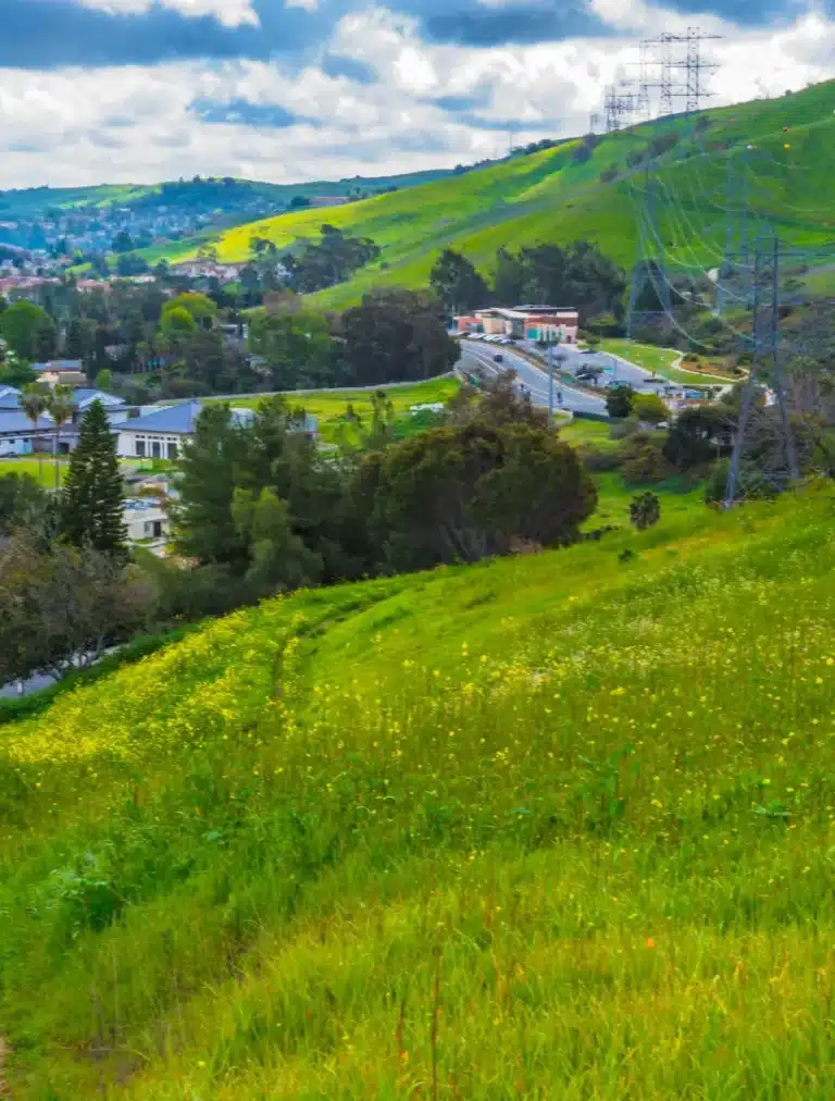 Individual discovering psilocybin mushrooms in Hacienda Heights surroundings for wellness purposes.