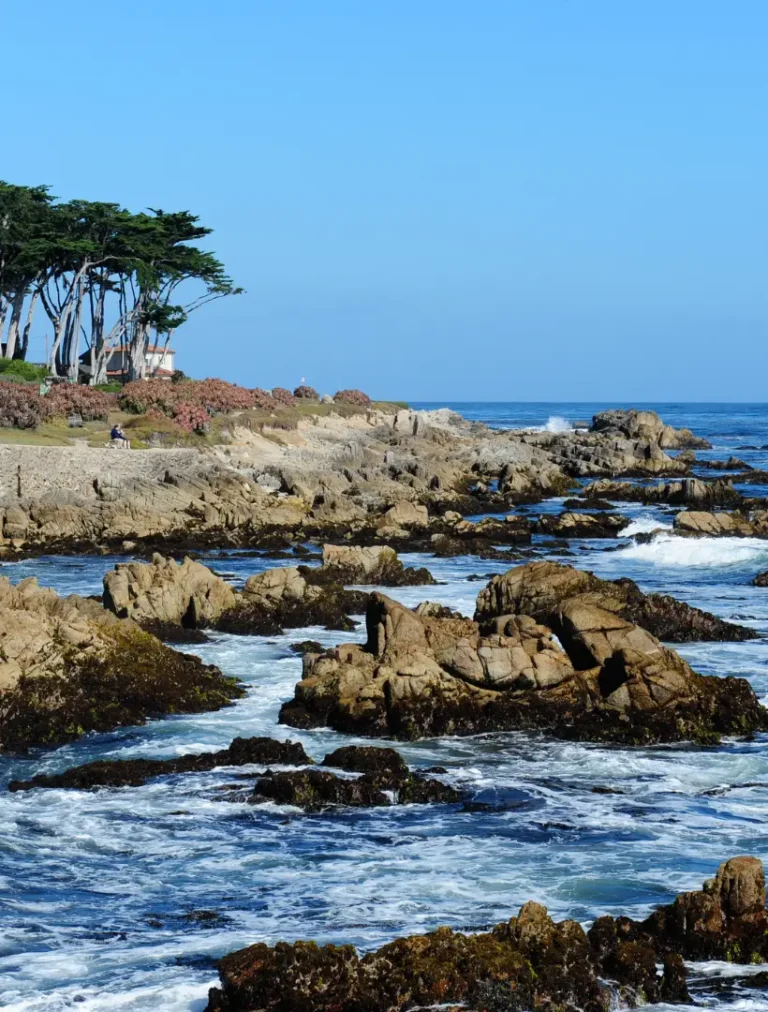 Wellness session focused on stress relief at Monterey Park therapy center.