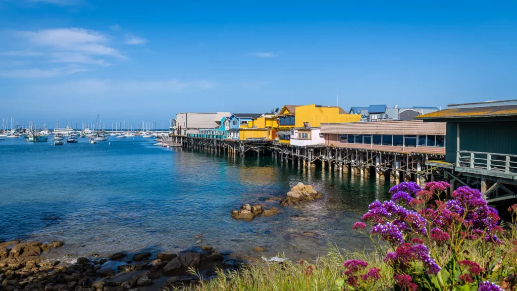 guided mushroom therapy near Monterey Park